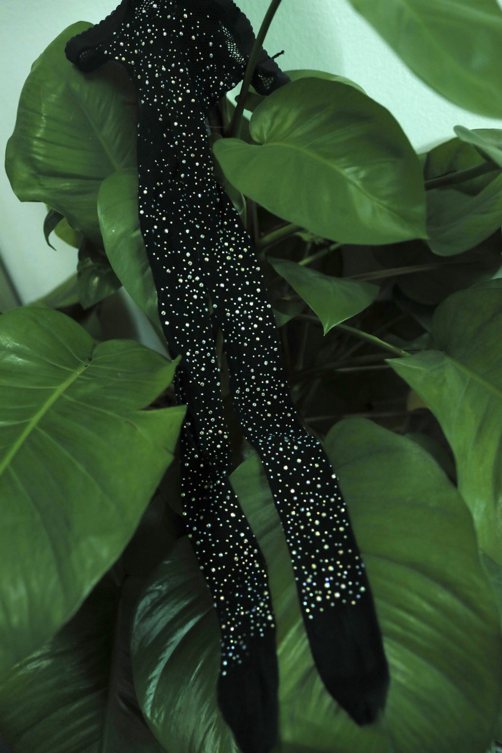 602f09cf-d362-4585-9077-52c5e4316989