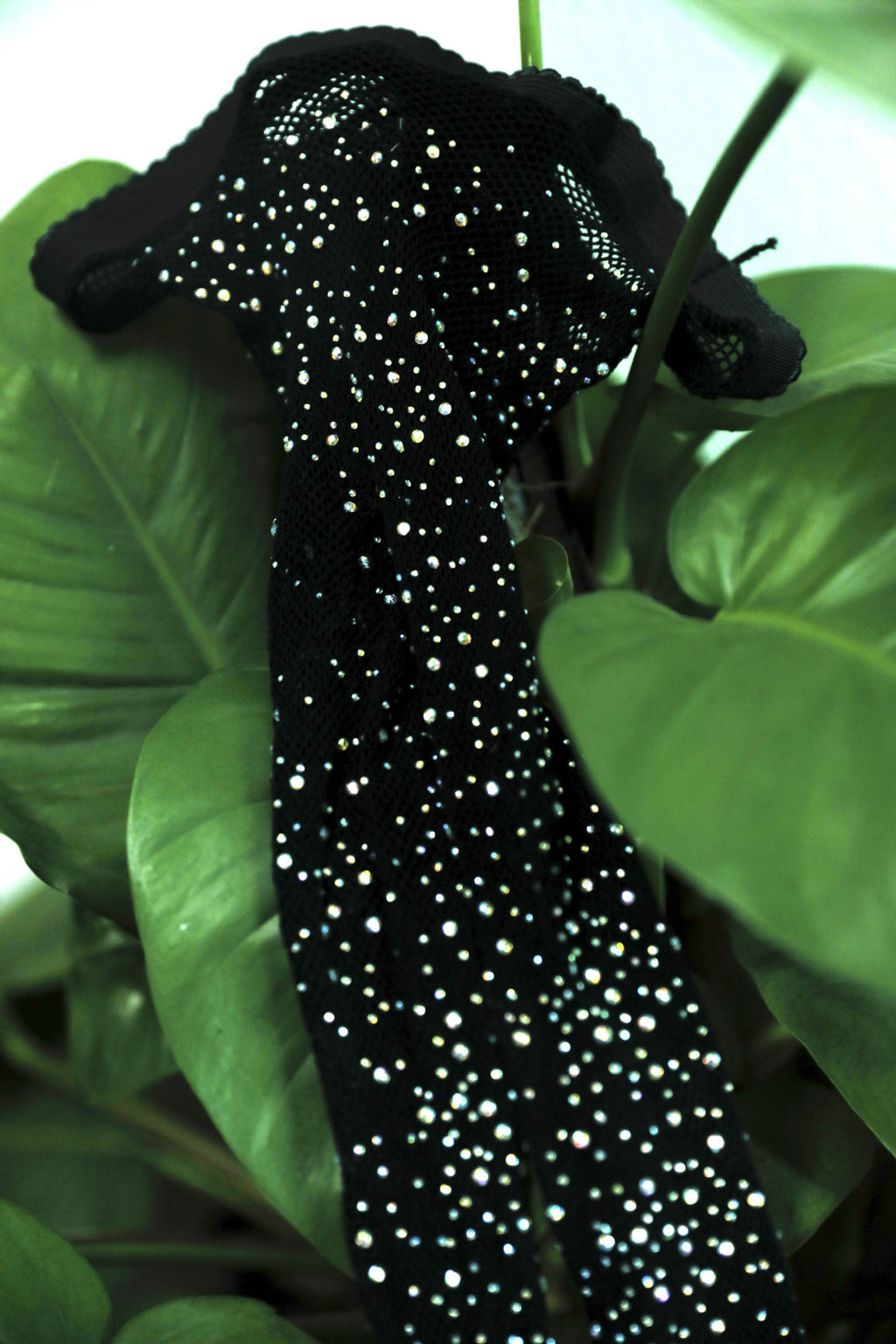 44d0f5ae-e879-484d-8cf1-02ec7533a77e