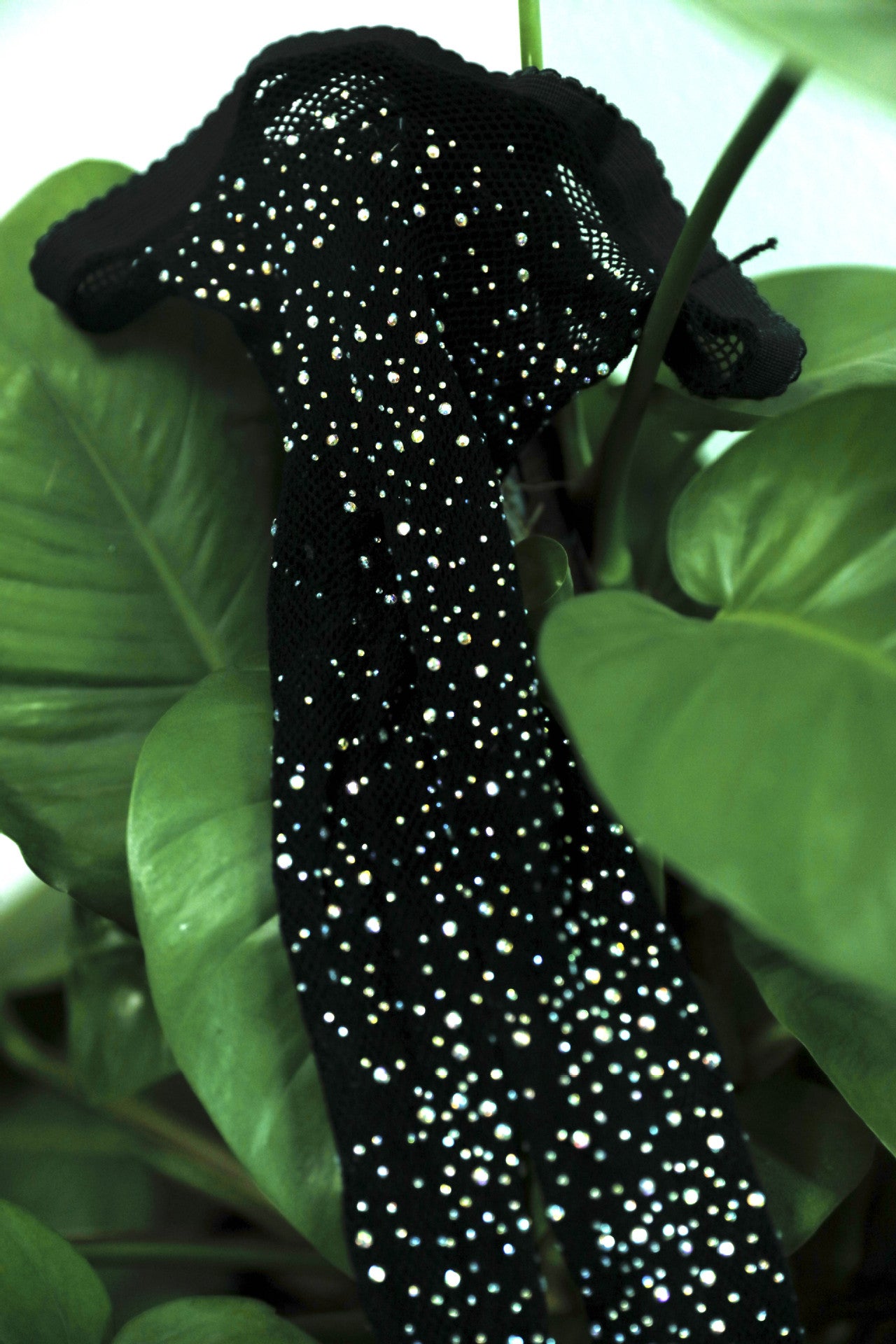 44d0f5ae-e879-484d-8cf1-02ec7533a77e